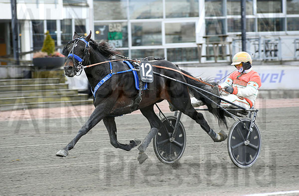 Free Bird mål.t62502a87.m600.w.4salnwmark2.png.xyluDE2Dp.jpg