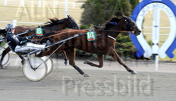 Kondor Dream mål.t621886f0.m600.w.4salnwmark2.png.xvaGXQb2L.jpg