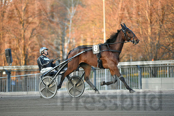 Mustang Racer heat.t6263c37f.m600.w.4salnwmark2.png.xpRiTddL3.jpg