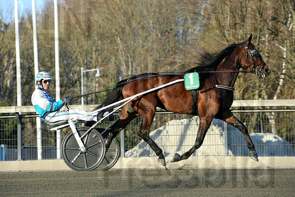 Francesco Zet heat 10.t6263c36b.m600.w.4salnwmark2.png.xSc5aP-Yq.jpg