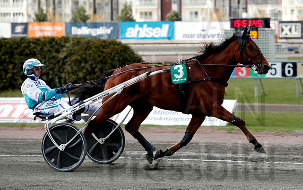 Born Unicorn heat 1.t609981c9.m600.w.4salnwmark2.png.xUs8SJYJo (1).jpg