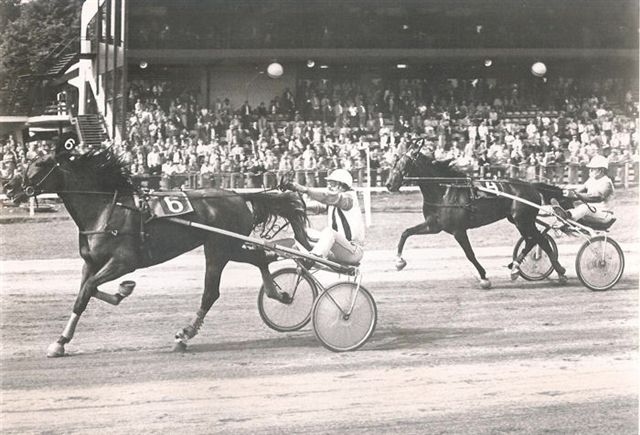 Shilling 20-8-80.jpg