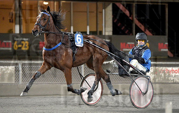 Ziva heat.t620be9d3.m600.w.4salnwmark2.png.xSzE3tP5A.jpg