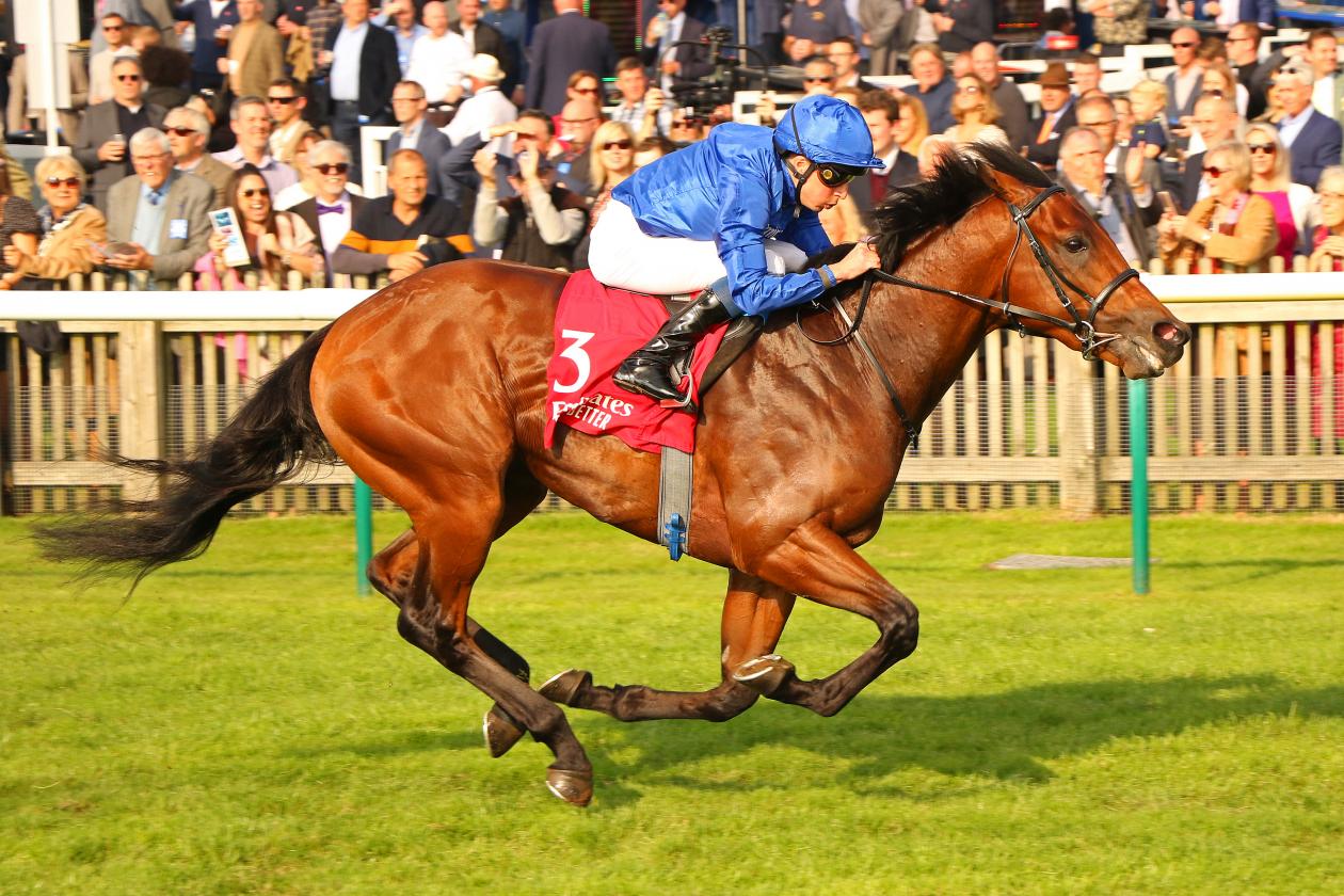 Coroebus3 -1st - G3 Autumn Stakes - Newmarket, UK - 09 October 2021.jpg
