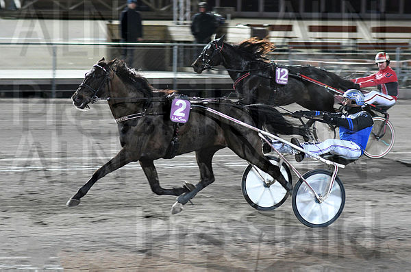 Devs Dragon mål DSC_5303.t5e7a11f6.m600.w.4salnwmark2.png.xBM3c-Bq2.jpg