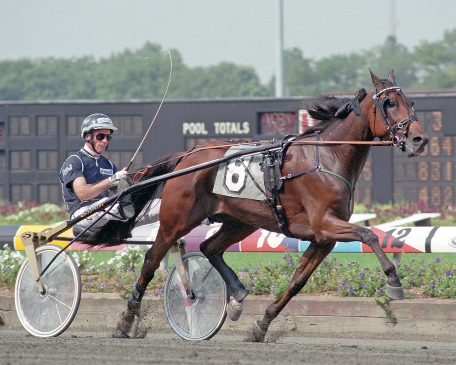 VictoryTilly_TheMeadowlands_NatRayTrot.jpg
