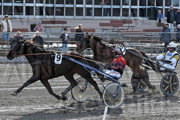 Global Barrister mål DSC_53.t624c083a.m600.w.4salnwmark2.png.xwCQ1cEDN (1).jpg