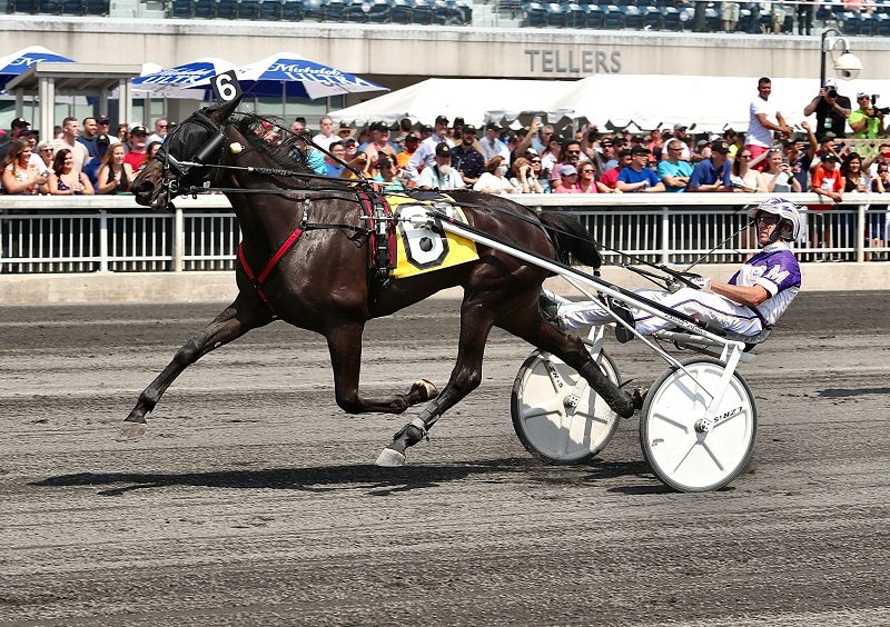 Venerable-Mark-Hall-USTA.jpg