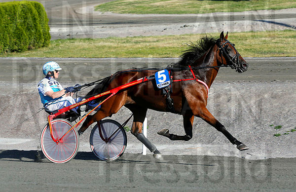 S.G.Flying Diaval heat 1_2.t5c13fd99.m600.w.4salnwmark2.png.xk4PwMMeU.jpg