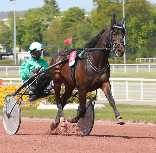 Hussard du Landret_Aprh_opt.jpg