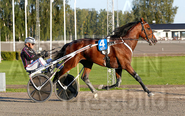 Bidensky heat 1.t61800b84.m600.w.4salnwmark2.png.x3P9rSIxL.jpg