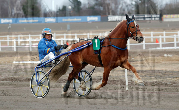 Wolt heat 1.t627cea72.m600.w.4salnwmark2.png.xhCr7SbZS.jpg