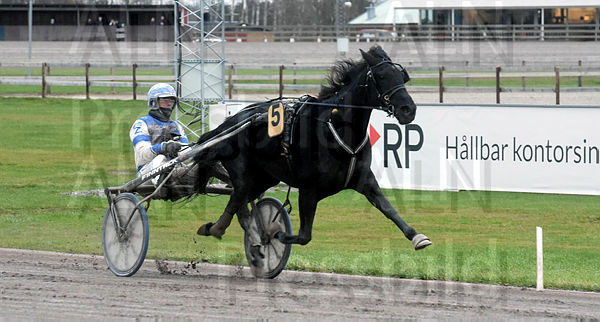 The Black Rose mål.t61891aab.m600.w.4salnwmark2.png.xg34n6_Dm.jpg