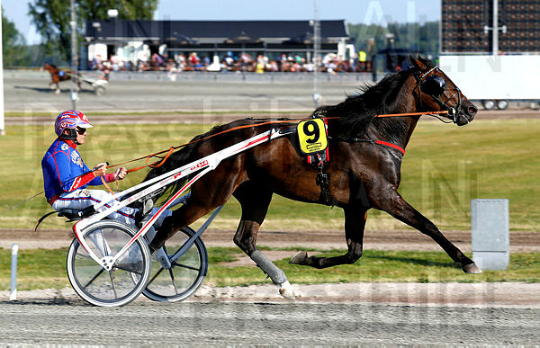 L.L.Royal heat 1_2.t5daaff10.m600.w.4salnwmark2.png.xjWOxJvGL.jpg