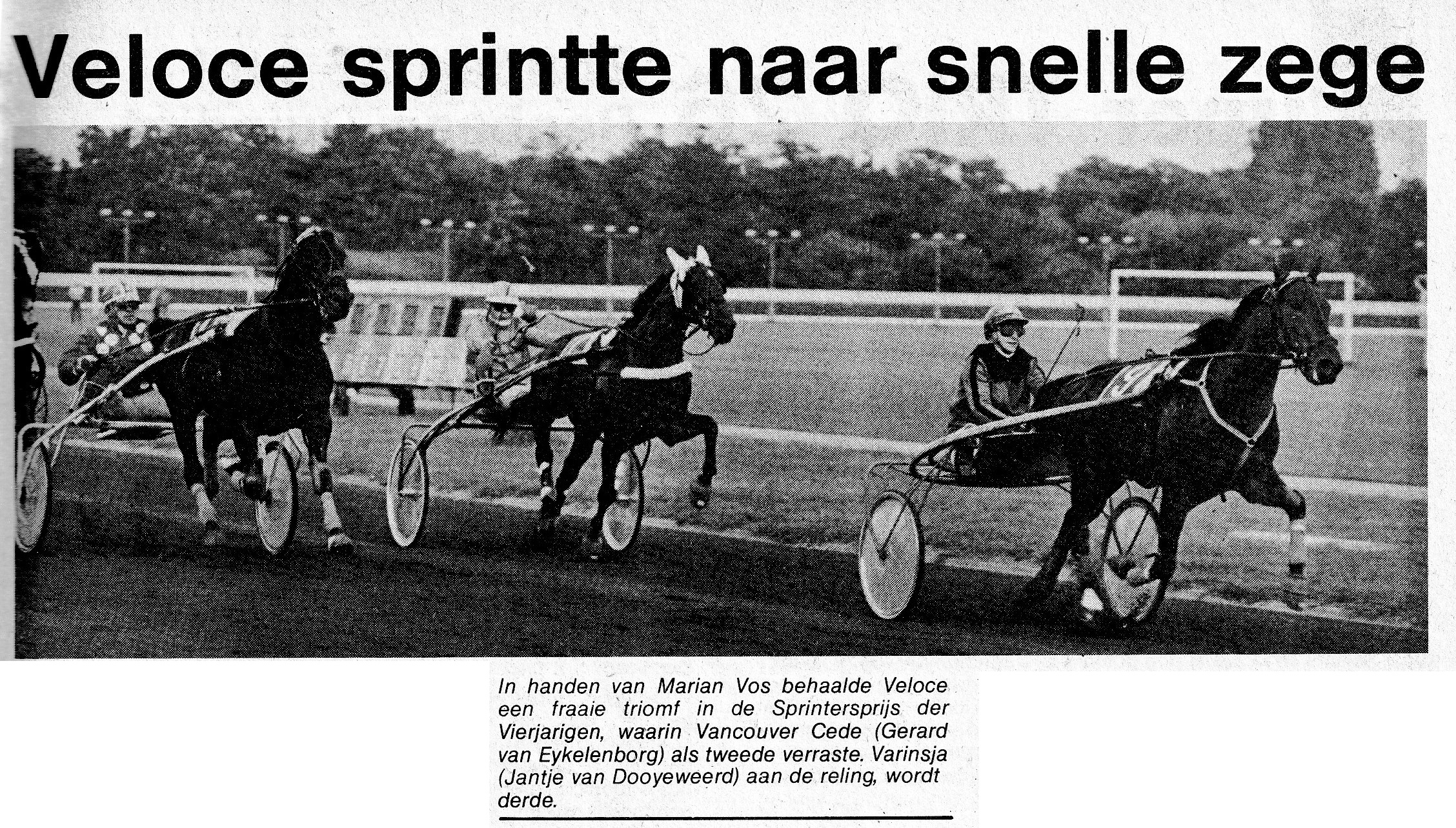 14 Juni 2.jpg